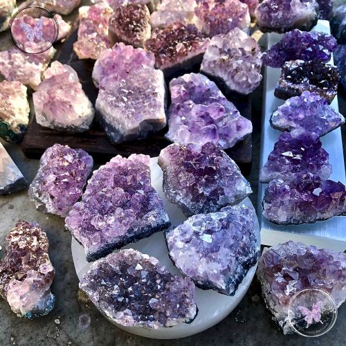 Amethyst Druze Clusters (Small)